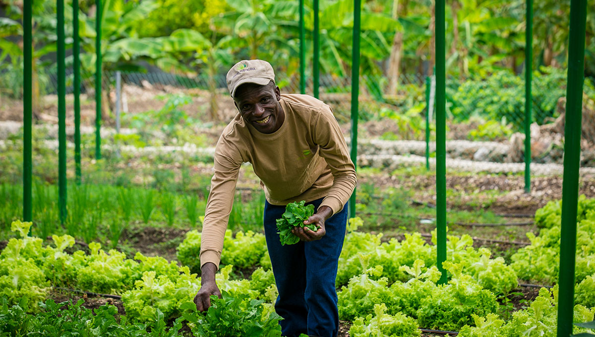 Agricultura Sostenible